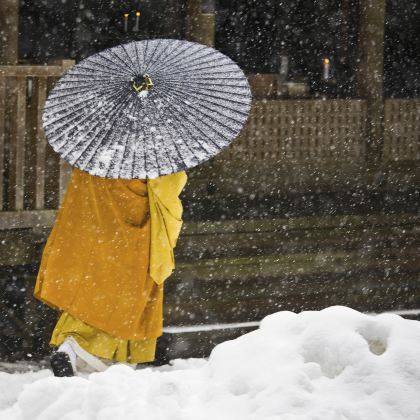 日本大阪+高野山+奈良+宇治市+京都6日5晚私家团