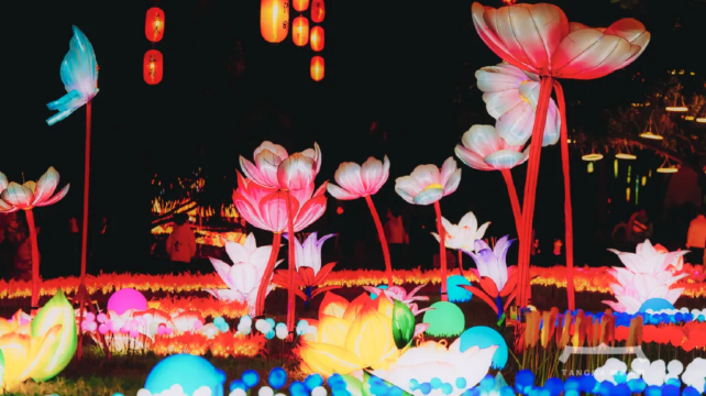 2026年珠海共乐灯会