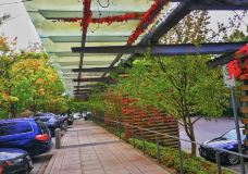 本那比山公园-本那比-小凌60