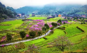 新化1日遊:雄偉的紫鵲界梯田,寧靜的新化古桃花源