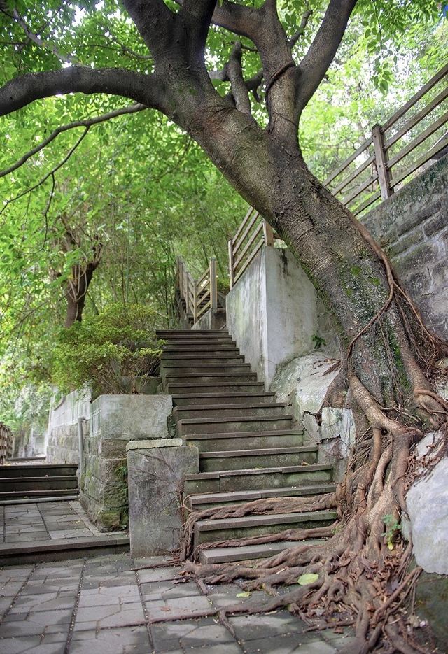 山城步道