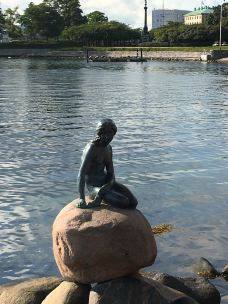 美人鱼-哥本哈根-行走地球的猫