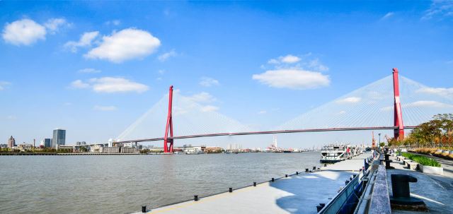 大桥公园旅行图片 2