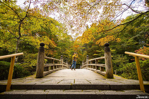 栃木县游记图文-东京出发日本秋日旅游推荐 栃木赏枫红叶秘境加经典景点8区盘点