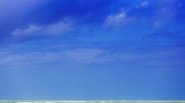 8-Day Tour from Miami·Everglades National Park, Coral Gables, Wynwood Walls, Fort Lauderdale, SeaWorld Orlando and Gatorland | Free Pick-up Service