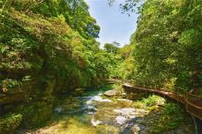 仙寓山景区-石台-夏吹夏夜风
