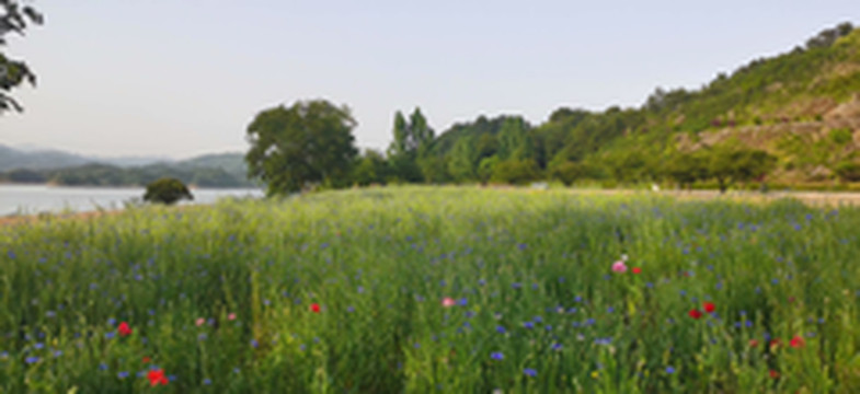 歙县游记图片] 2021年五.一皖南行