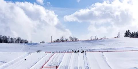 瀧野鈴蘭丘陵公園