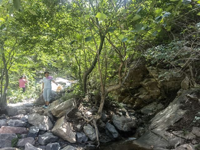 陶唐峪景区旅行图片 5