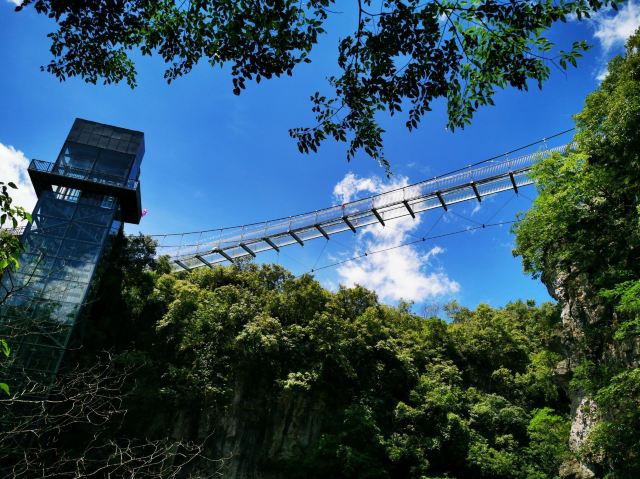 洒金公园旅行图片 5