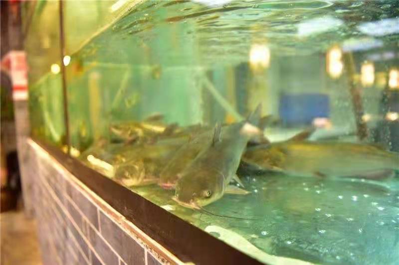 匠岳·王宝器麻椒鱼(汉中店)餐厅图片