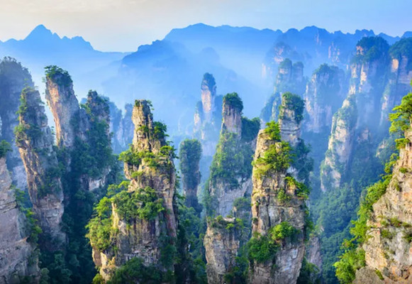 张家界全域调为低风险地区，之前欠的门票这次一定补上！