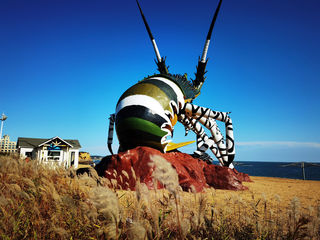 云游四海（1557）秋游金石滩