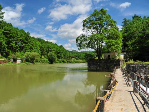 野梅岭森林公园