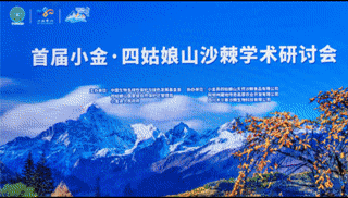 厉害了！四姑娘山国家级自然保护区被授予“世界最大中国沙棘天然林”