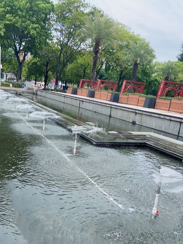北滘公园旅行图片 3
