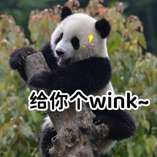 萌态十足！请接收来自国宝的夏日wink~