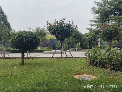 丛台广场
