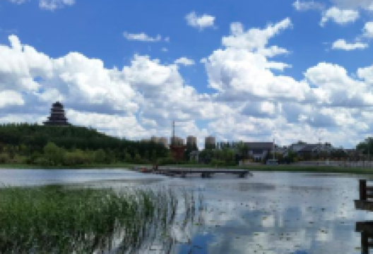 四平植物园景点图片