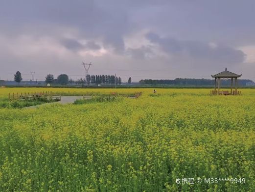 葵花小镇