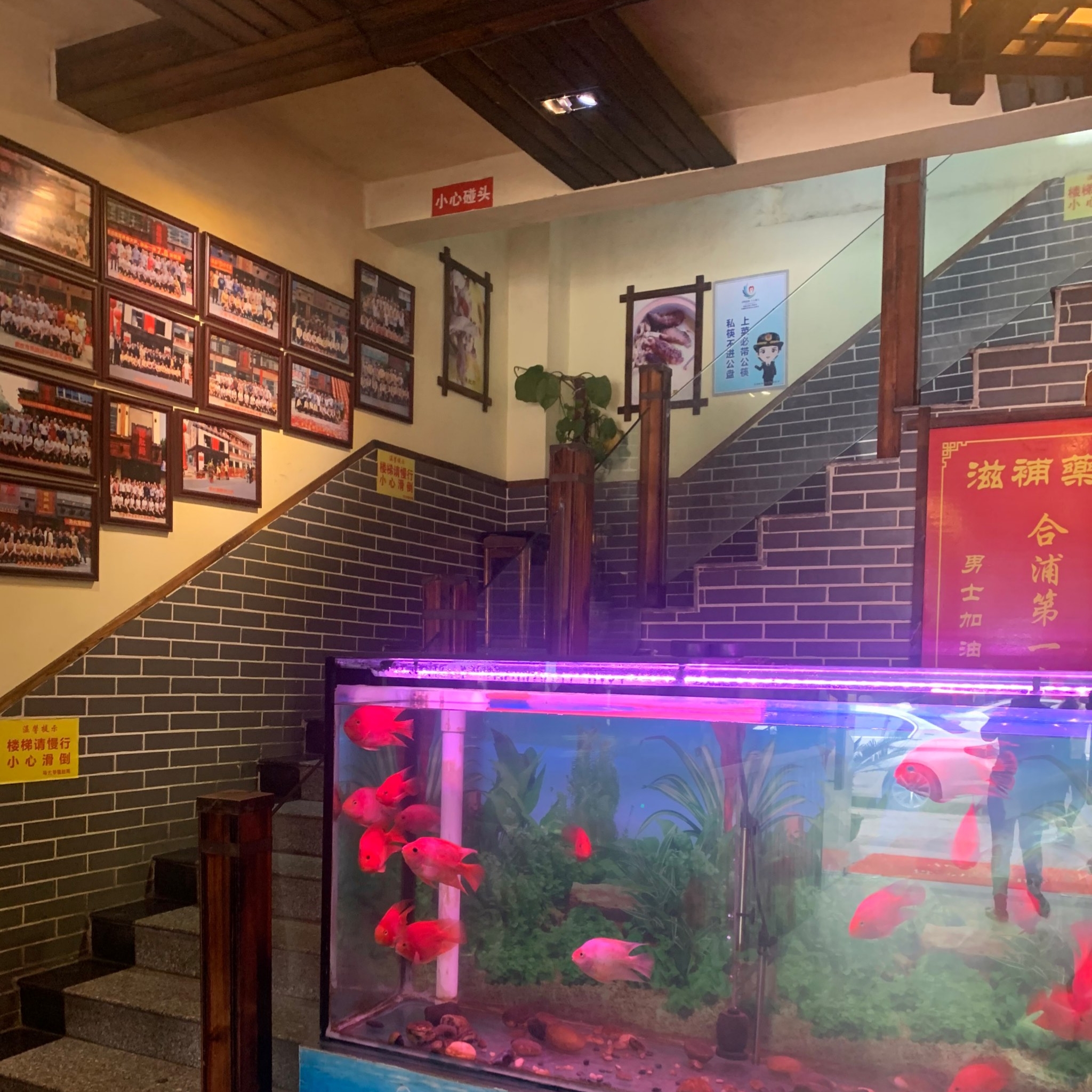 马大爷猪肚鸡(合浦店)餐厅图片