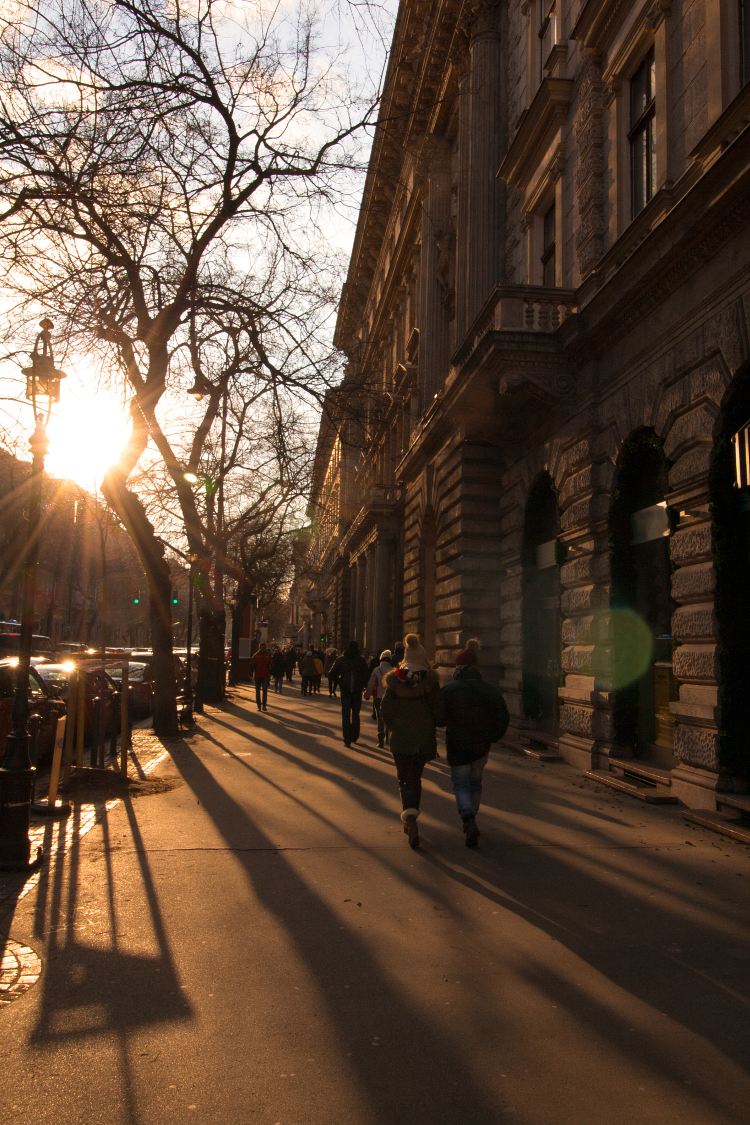 District VI-Terezvaros (Artistic hub, historical architecture)