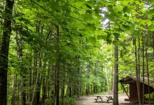 Burke Mountain Campground景点图片