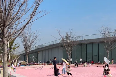 前滩休闲公园-粉色沙滩