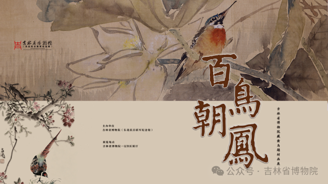《百鸟朝凤》吉林省博物院藏禽鸟题材画展