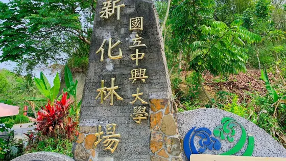 國立中興大學新化林場