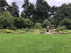 爱丁堡游记图片] 爱丁堡植物园：在寂静中感受慰藉