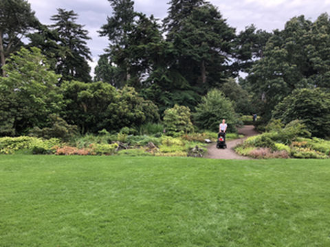 爱丁堡植物园:在寂静中感受慰藉