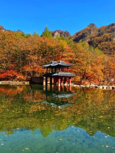 蒲石河森林公园-凤城-小Q