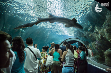 Aquarium of Veracruz-维拉克鲁斯-C-IMAGE
