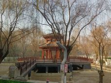 长乐公园-西安-恰似您的温柔