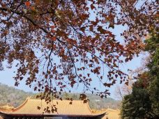 玉台寺-江门-池塘春草