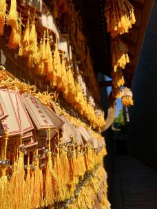 昭明书院-桐乡-Yolanda_zy