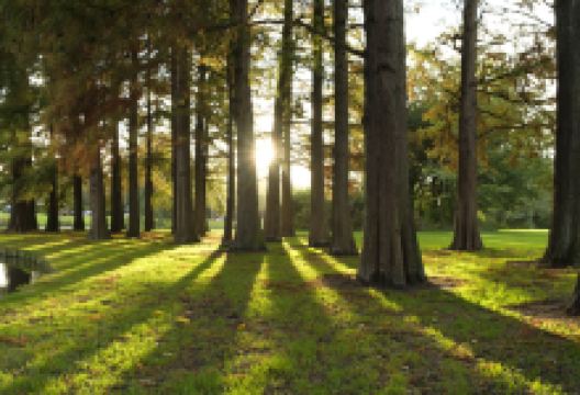 浦口公园景点图片