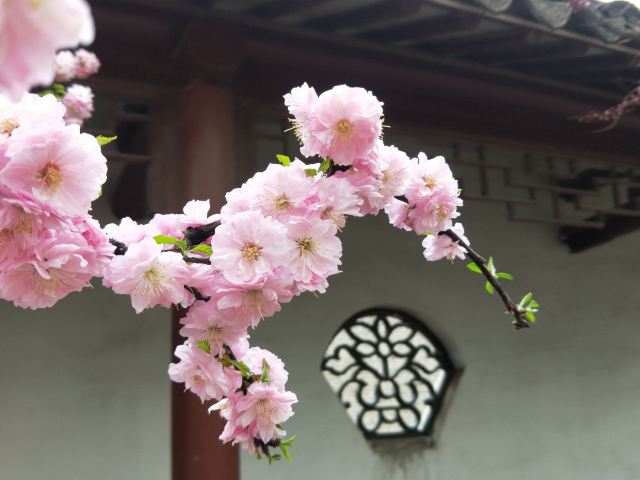 宣化人民公园旅行图片 2