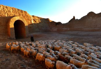 黄河石林+永泰古城一日游 纯玩精品小团 定点接送【跟着电影《神话》走进黄河石林，这里是一座集地貌地质、地质构造、自然景观人文历史于一体的综合型地质公园】