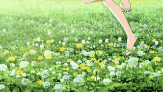 郁金香开，万花吐艳！大好春光，不容错过