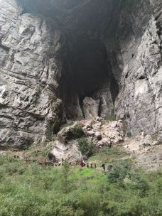 天龙桥-重庆-爱睡觉的猪01