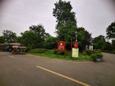 蜀国鹃都-成都-M29****2863