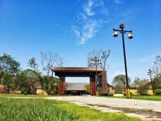 日照天台山-日照-YoYo_6R0X1V8A