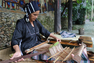 芭蕉也可以做成衣，穿在身上是什么体验？