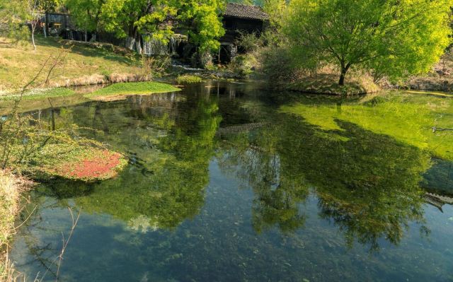 丽江玉水寨风景区旅行图片 3