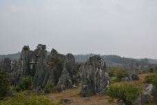 李子箐石林-石林-牛奶海