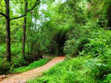青竹村休闲山庄-昆明-齐扬团建管家