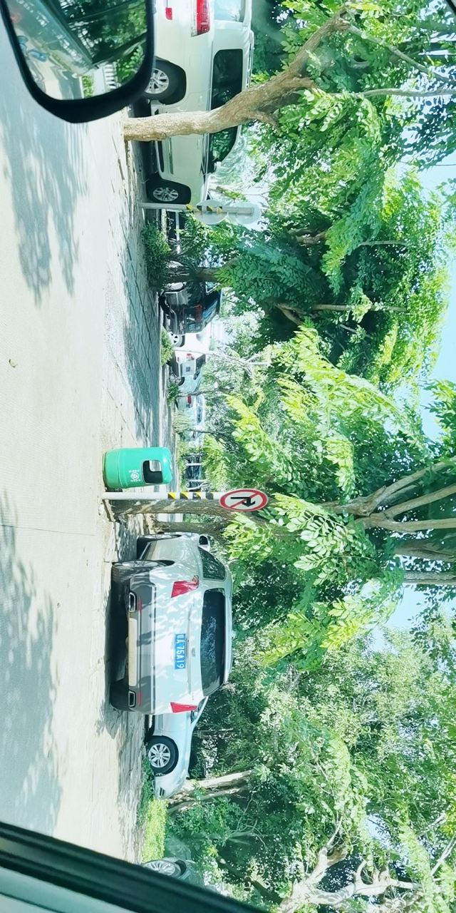 海口城市中央公园旅行图片 3