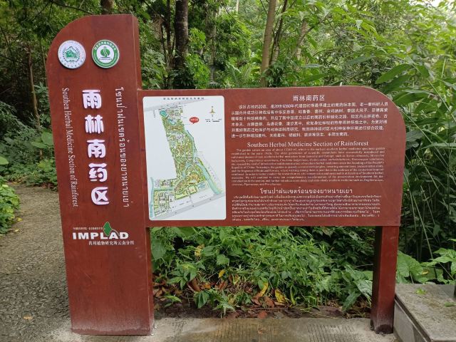 西双版纳南药园旅行图片 1